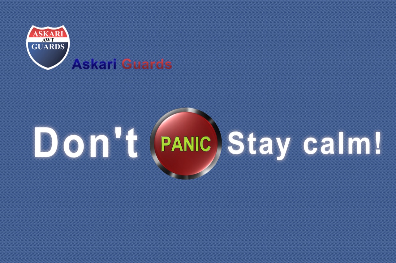panic alarm system services